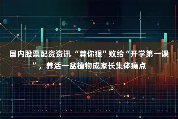 国内股票配资资讯 “蒜你狠”败给“开学第一课”，养活一盆植物成家长集体痛点