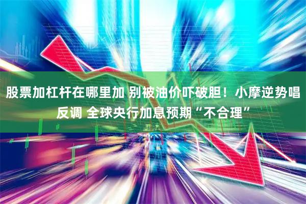 股票加杠杆在哪里加 别被油价吓破胆！小摩逆势唱反调 全球央行加息预期“不合理”