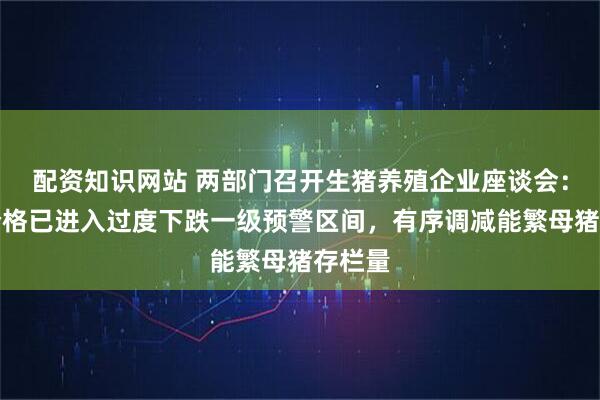 配资知识网站 两部门召开生猪养殖企业座谈会：生猪价格已进入过度下跌一级预警区间，有序调减能繁母猪存栏量